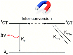 Graphical abstract: Studying the influence of triplet deactivation on the singlet–triplet inter-conversion in intra-molecular charge-transfer fluorescence-based OLEDs by magneto-electroluminescence