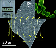 Graphical abstract: Fabrication of large-area PbSe films at the organic–aqueous interface and their near-infrared photoresponse