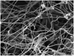 Graphical abstract: Formation of double helical microfibrils from small molecules