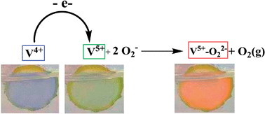 Graphical abstract: Three-colored electrochromic lithiated vanadium oxides: the role of surface superoxides in the electro-generation of the red state