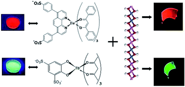 Graphical abstract: Ordered and flexible lanthanide complex thin films showing up-conversion and color-tunable luminescence