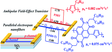 Graphical abstract: Ambipolar field-effect transistors using conjugated polymers with structures of bilayer, binary blends, and paralleled nanofibers