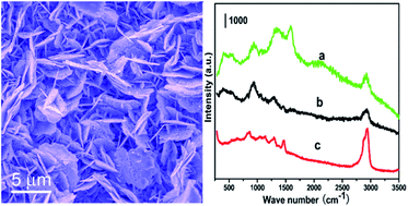 Graphical abstract: Electrochemically created highly surface roughened Ag nanoplate arrays for SERS biosensing applications