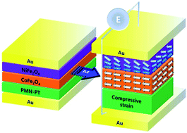 Graphical abstract: Piezoelectrically enhanced exchange bias in multiferroic heterostructures