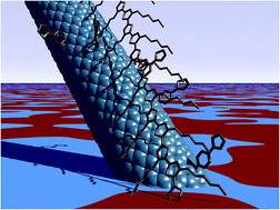 Graphical abstract: On the trade-off between processability and opto-electronic properties of single wall carbon nanotube derivatives in thin film heterojunctions