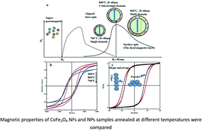 Graphical abstract: Magnetic properties of different CoFe2O4 nanostructures: nanofibers versus nanoparticles