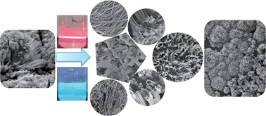 Graphical abstract: Water-soluble ribbon-like graphitic carbon nitride (g-C3N4): green synthesis, self-assembly and unique optical properties