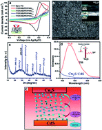 Graphical abstract: Polyelectrolyte multilayer-assisted fabrication of p-Cu2S/n-CdS heterostructured thin-film phototransistors