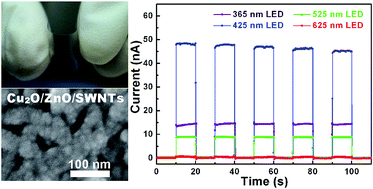 Graphical abstract: A high-performance UV/visible photodetector of Cu2O/ZnO hybrid nanofilms on SWNT-based flexible conducting substrates