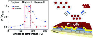 Graphical abstract: Low-temperature annealed PbS quantum dot films for scalable and flexible ambipolar thin-film-transistors and circuits