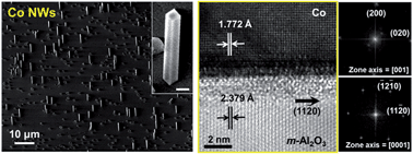 Graphical abstract: Epitaxy-driven vertical growth of single-crystalline cobalt nanowire arrays by chemical vapor deposition