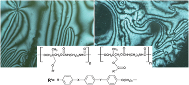 Graphical abstract: New photoswitchable mesogenic polyurethanes with gelation ability