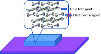 Graphical abstract: Enhancement of the p-channel performance of sulfur-bridged annulene through a donor–acceptor co-crystal approach