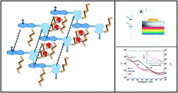 Graphical abstract: A water-soluble eumelanin polymer with typical polyelectrolyte behaviour by triethyleneglycol N-functionalization