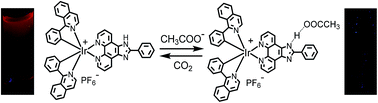 Graphical abstract: A charged iridophosphor for time-resolved luminescent CO2 gas identification