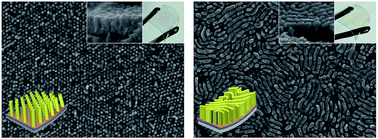 Graphical abstract: ZnO nanorods and nanowalls directly synthesized on flexible substrates with block copolymer templates