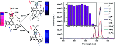 Graphical abstract: Luminescent sensing profiles based on anion-responsive lanthanide(iii) quinolinecarboxylate materials: solid-state structures, photophysical properties, and anionic species recognition