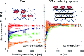 Graphical abstract: The overlooked role of reduced graphene oxide in the reinforcement of hydrophilic polymers