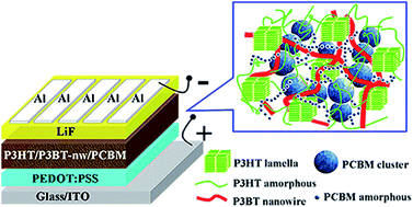 Graphical abstract: Poly(3-butylthiophene) nanowires inducing crystallization of poly(3-hexylthiophene) for enhanced photovoltaic performance