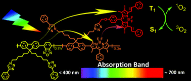 Graphical abstract: Conjugated copolymer–photosensitizer molecular hybrids with broadband visible light absorption for efficient light-harvesting and enhanced singlet oxygen generation