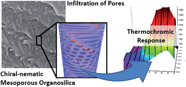 Graphical abstract: Tuning the photonic properties of chiral nematic mesoporous organosilica with hydrogen-bonded liquid-crystalline assemblies