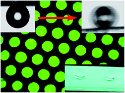 Graphical abstract: Multifunctional polypyrene/silica hybrid coatings with stable excimer fluorescence and robust superhydrophobicity derived from electrodeposited polypyrene films