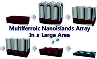 Graphical abstract: High density array of multiferroic nanoislands in a large area