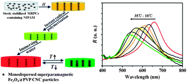Graphical abstract: Free-standing, flexible thermochromic films based on one-dimensional magnetic photonic crystals