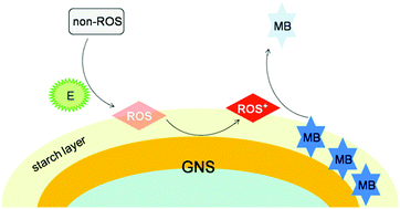 Graphical abstract: Free radical-quenched SERS probes for detecting H2O2 and glucose