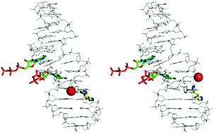 Graphical abstract: Analysis of ATP and AMP binding to a DNA aptamer and its imidazole-tethered derivatives by surface plasmon resonance