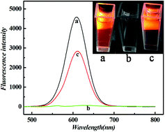Graphical abstract: Detection of glutathione with an “off–on” fluorescent biosensor based on N-acetyl-l-cysteine capped CdTe quantum dots