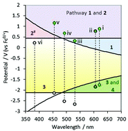 Graphical abstract: Considering the chemical energy requirements of the tri-n-propylamine co-reactant pathways for the judicious design of new electrogenerated chemiluminescence detection systems