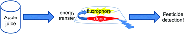Graphical abstract: Rapid and efficient pesticide detection via cyclodextrin-promoted energy transfer