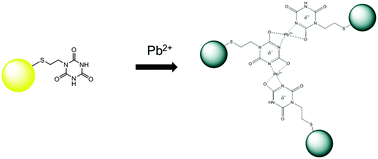 Graphical abstract: A colorimetric probe to determine Pb2+ using functionalized silver nanoparticles