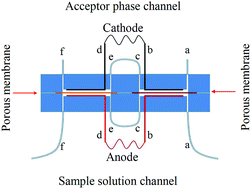 Graphical abstract: A novel approach to the consecutive extraction of drugs with different properties via on chip electromembrane extraction