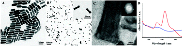 Graphical abstract: A robust electrochemiluminescence immunoassay for carcinoembryonic antigen detection based on a microtiter plate as a bridge and Au@Pd nanorods as a peroxidase mimic