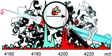 Graphical abstract: Assessing the iron delivery efficacy of transferrin in clinical samples by native electrospray ionization mass spectrometry