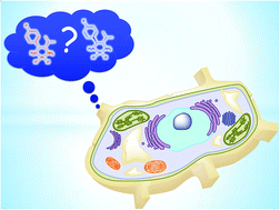 Graphical abstract: Resonant X-ray emission spectroscopy of platinum(ii) anticancer complexes