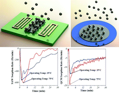 Graphical abstract: Development and comparative investigation of Ag-sensitive layer based SAW and QCM sensors for mercury sensing applications