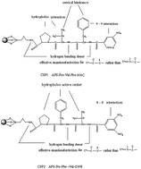 Graphical abstract: Preparation and characterization of tripeptide chiral stationary phases with varying amino acid sequences and terminal groups
