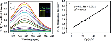 Graphical abstract: A simple and new fluorescent and colorimetric probe based on NBD–maleimide for detecting thiols in living cells