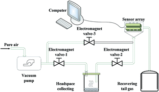 Graphical abstract: Monitoring the wheat straw fermentation process using an electronic nose with pattern recognition methods