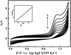 Graphical abstract: A halofuginone electrochemical sensor based on a molecularly imprinted polypyrrole coated glassy carbon electrode