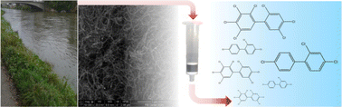 Graphical abstract: Multi-walled carbon nanotubes: innovative sorbents for pre-concentration of polychlorinated biphenyls in aqueous environments