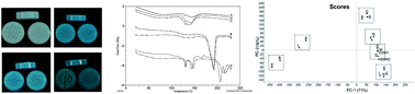 Graphical abstract: A preliminary investigation to group disparate batches of licit and illicit diazepam tablets using differential scanning calorimetry