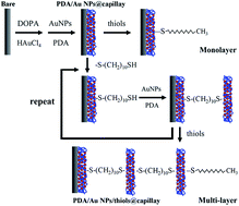 Graphical abstract: Layer-by-layer self-assembly of polydopamine/gold nanoparticle/thiol coating as the stationary phase for open tubular capillary electrochromatography