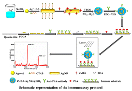 Graphical abstract: 4MBA-labeled Ag-nanorod aggregates coated with SiO2: synthesis, SERS activity, and biosensing applications