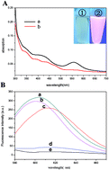 Graphical abstract: DNA-scaffolded silver nanoclusters as an on–off label-free fluorescence probe for the selective detection of endonuclease activity and inhibition