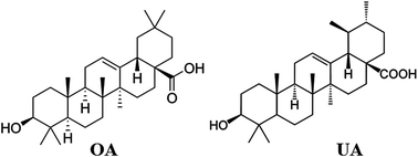 Graphical abstract: Voltammetric procedure for the determination of oleanolic and ursolic acids in plant extracts