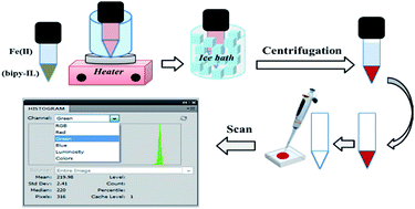 Graphical abstract: Reflection scanometry as a new detection technique in temperature-controlled ionic liquid-based dispersive liquid phase microextraction